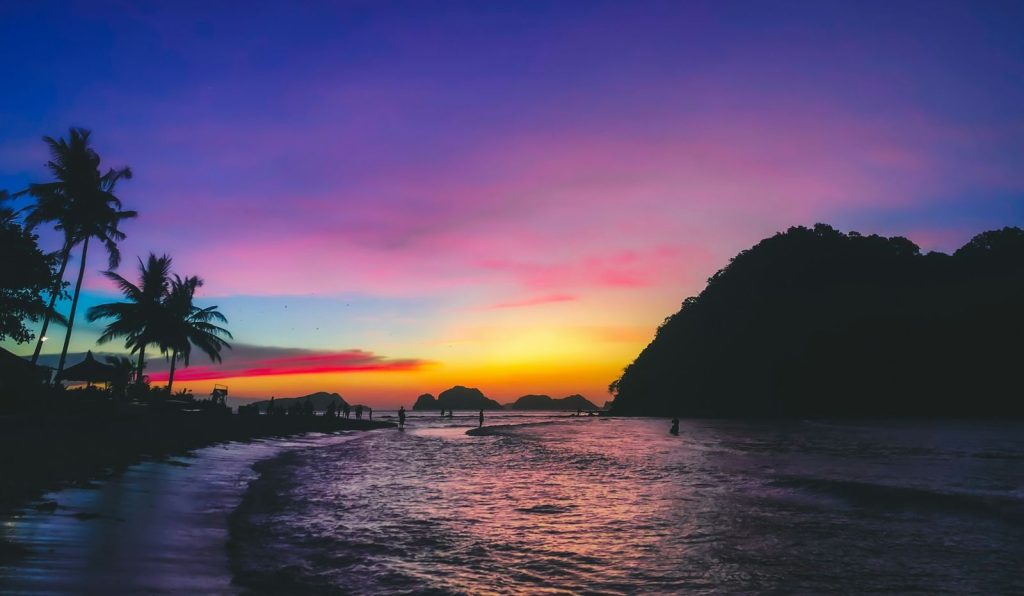 Palm trees and headland silhouetted at sunset