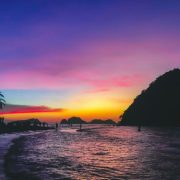Palm trees and headland silhouetted at sunset