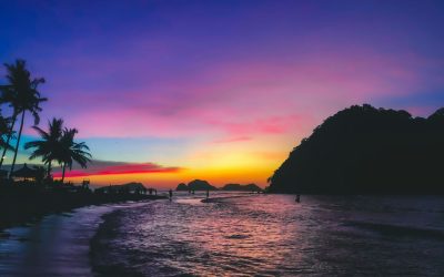 Palm trees and headland silhouetted at sunset