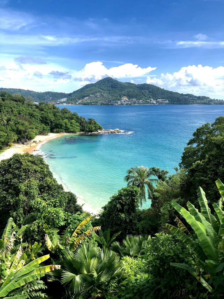 Tropical beach seen from a jungle hillside