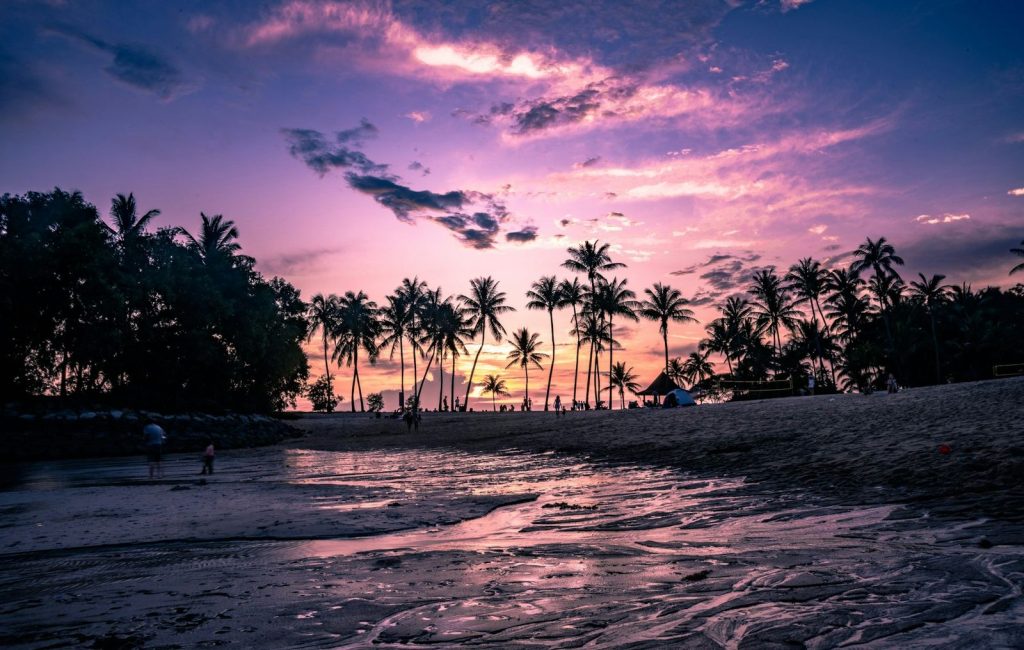 Palm-lined beach under a purple sunset sky