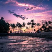 Palm-lined beach under a purple sunset sky