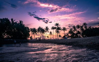 Palm-lined beach under a purple sunset sky